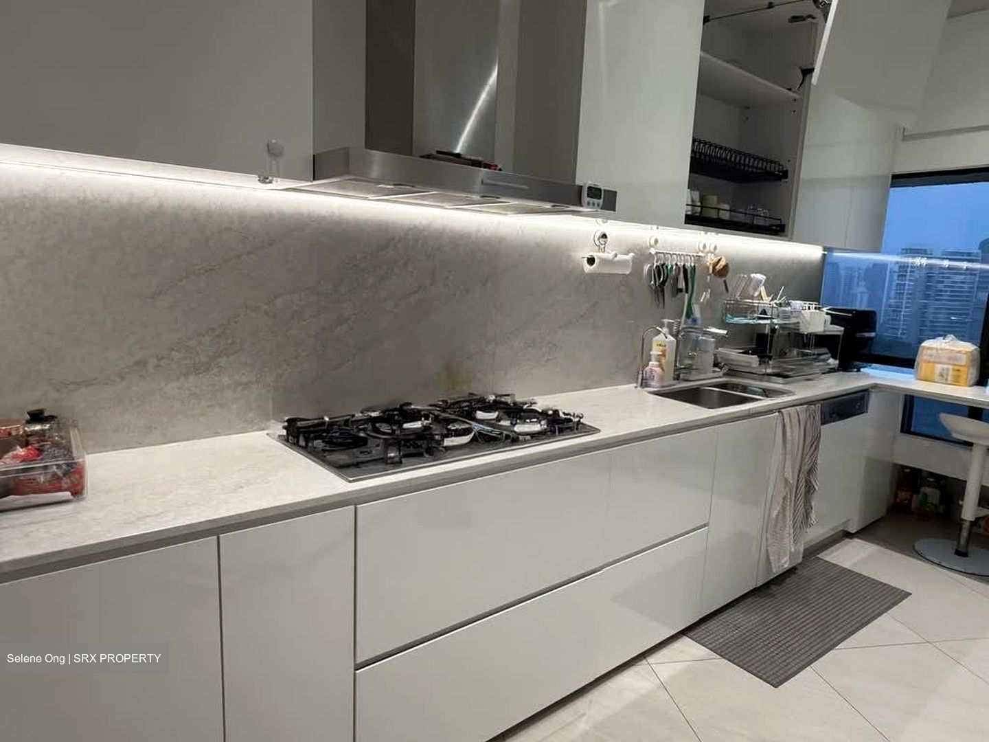 The Draycott (D10), Apartment #568240281